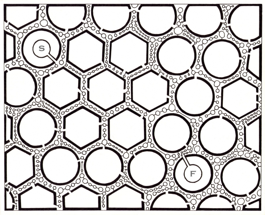 The Bee Hive ©2003 damien soskin